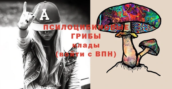 бошки Протвино